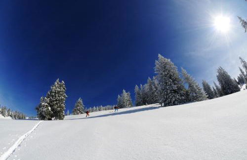 Haus Waldeck - Foto 35