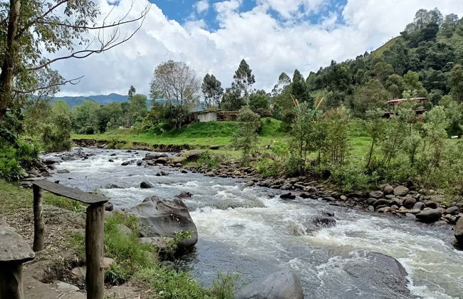 Salento Guided Walking Tour - Photo 8