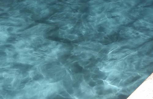 Casa das Marucas - Foto 45