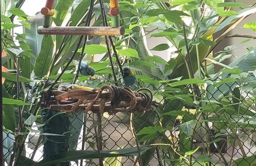 Casa na praia de Itamambuca na cidade de Ubatuba - Foto 39