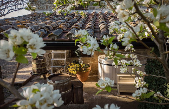 Agriturismo Biologico Sant'Egle - Foto 33