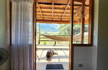 João-de-barro - Foto 10