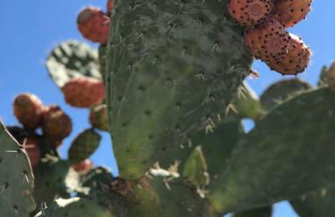 Apartment Tramonto sea-front - Foto 21