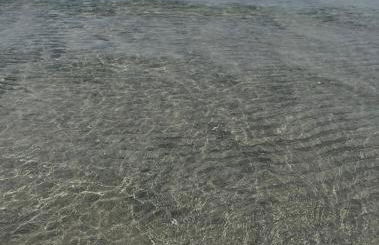 Vento del Mar Tramontana - Foto 33