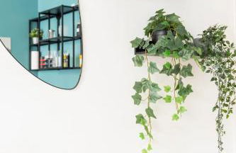 Cozy 2-Raumwohnung in Zentrumsnähe - Foto 4