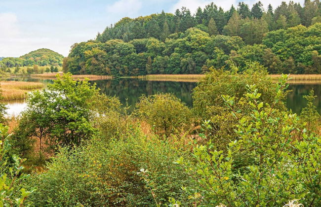 2 Person Holiday Home in Ejstrupholm-by Traum - Foto 26