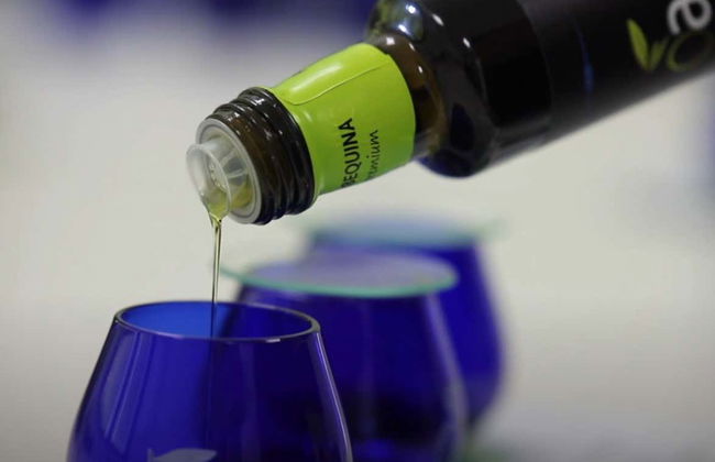 Visita a la finca Oleo Almanzora con degustación de aceite - Foto 4