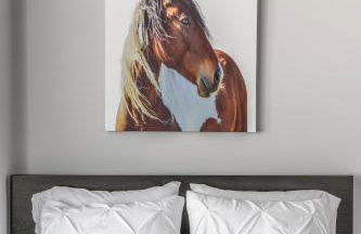 175 LEX - Walkable Downtown Lexington & Rupp Arena - Full Condos - Foto 21