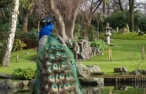 Beautiful Kensington Home with 4 beds, only 3 Minutes walk to Earls Court Station - Photo 32