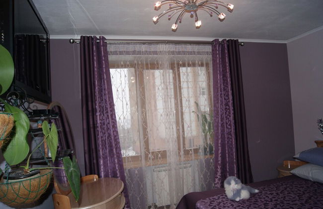 Apartment on Radischeva 23 apt 20 - Photo 11