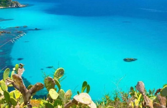 Green Park Residence - Foto 17