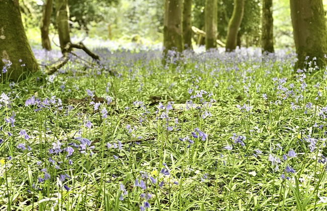 Slowley Farm - Foto 80