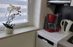 Apartment in ruhiger Südvorstadt - Foto 12