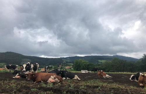 Chalet Individual en Vargas, Cantabria - Foto 24