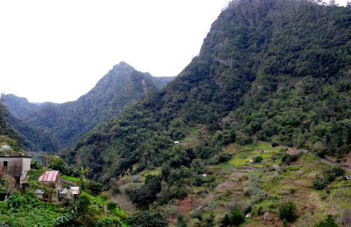 Green Valley Cruzinhas House with Fireplace & BBQ - Foto 43