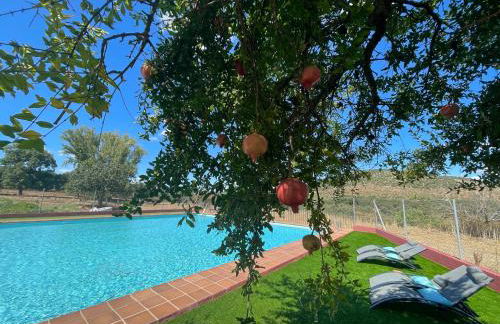 Cortijo Huerta Galindo - Foto 14