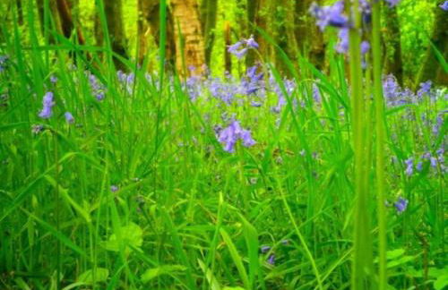 1 Bed in Lockerbie 93110 - Foto 17