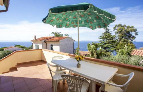 Bougainvillea Primo Piano - Goelba - Foto 2