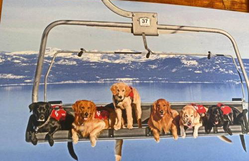 Ski In/Out - Zalanta - Great Location- 2 Hot Tubs - Heated Pool - Foto 35