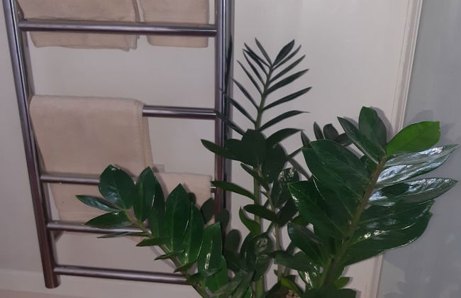 Harbour View Cottage Boutique B&b - Foto 23