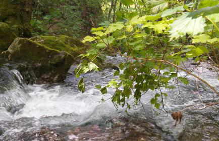 Appartment Lodged Mamma Maria - Foto 80