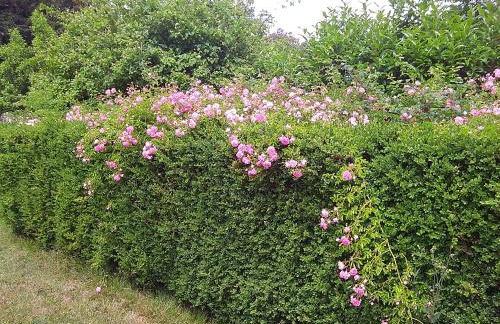 Maison d'hôtes - Foto 13