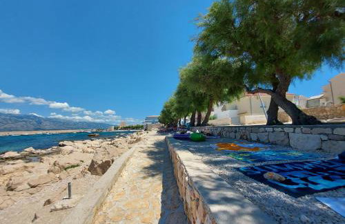 Apartmani Ciprijan - Foto 28