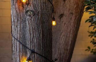 Landmark 23 - Photo 68