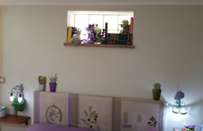 Casa di Campagna Dal Pozzo - Foto 2