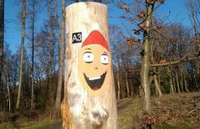 Ferientraum-am-Rothaarsteig - Foto 27