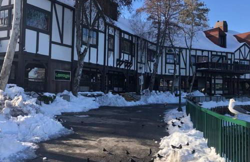 Lake house Cabin - Lake Arrowhead - Photo 27