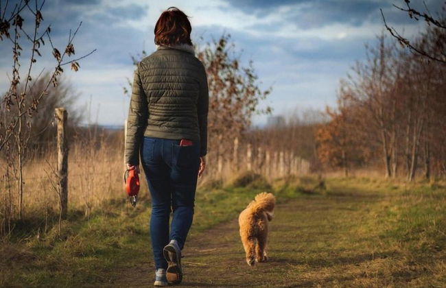 Chalet at Roompot Beach Resort Near the Coast - Foto 18