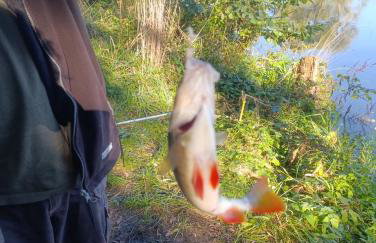 Agroturystyka domki nad rzeką Bałtów kajaki rowery klima basen ryby full - Foto 52