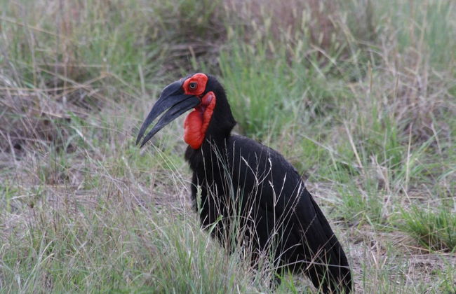 ArendSig Villa - Photo 29