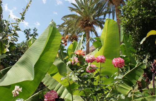 Apartamentos Nelly - Foto 25