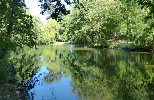 Ferienwohnung mit Brockenblick - Foto 39