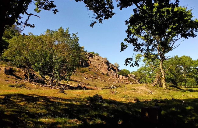 Seaside Idyll in Svaneke - By Traum Ferienwohnungen - Foto 15