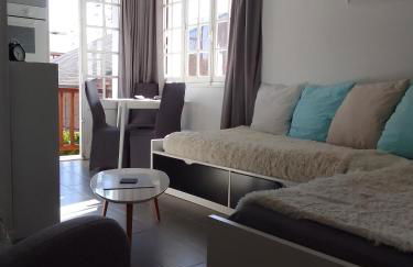 Les cigognes - Foto 1