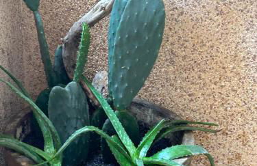 Es Pujols Vista Mare - Foto 51