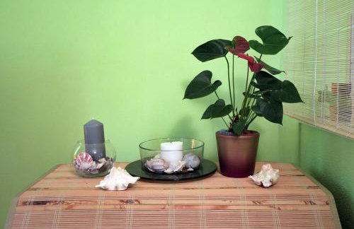 Apartments Vera - Foto 53