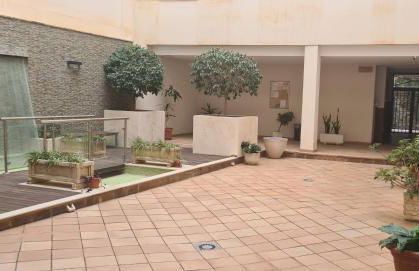 The Salamadras - Photo 3