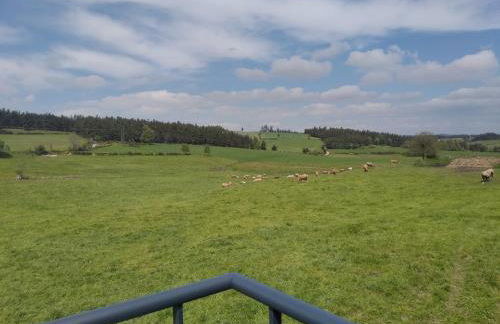 Gîte de fontanes aubrac Margeride loups du gevaudan Lozère - Foto 13