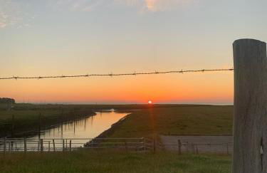 KüstenMuschel - Foto 42