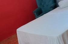 Casa da Flor - Photo 2