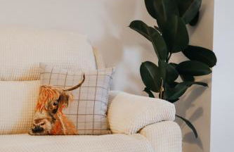 Luxurious Apartment in Inverness - Photo 23