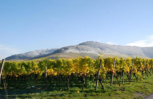 Weingut Ilmbacher Hof - Foto 9