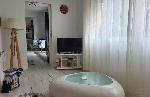 Appartement calme, authentique et spacieux au pied du GR20 - Foto 12