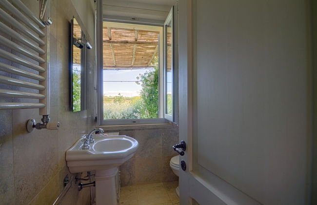 Rinidia Bio - Foto 28