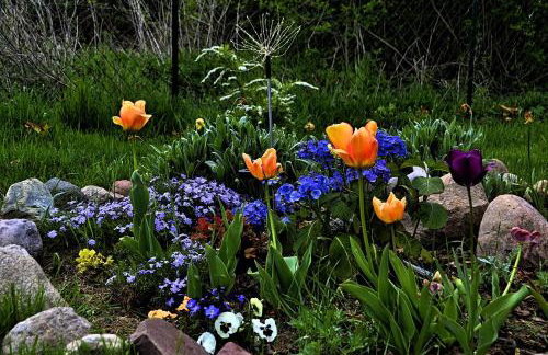 Domek nad jeziorem, a morze w gratisie - Foto 46