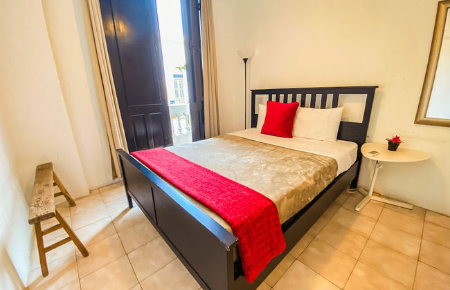 Gladiolas 2201 - Foto 2